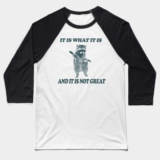 It Is What It Is And It Is Not Great - Vintage Drawing T Shirt, Raccoon Meme T Shirt, Funny Y2K Tee Shirt, Unisex Tee Baseball T-Shirt